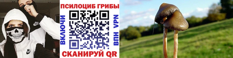 Галлюциногенные грибы ЛСД  что такое   Кувандык 